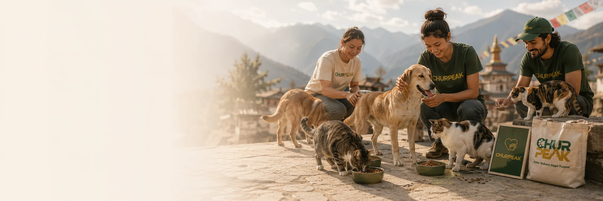 ChurPeak volunteers helping feed street dogs and cats in a Himalayan community
